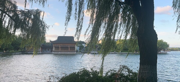 智慧一 羅同學 浙江敏雲圖片