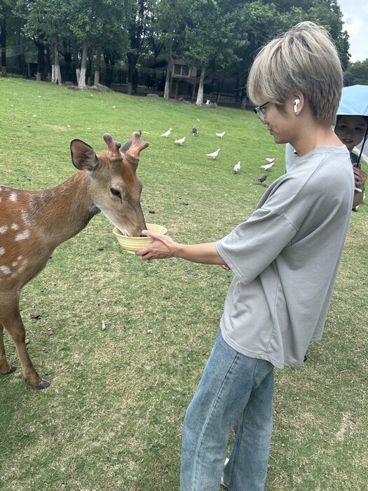 智慧一 羅同學 浙江敏雲圖片