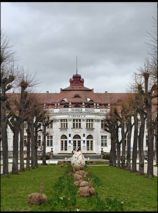 智工四 吳奇恩 捷克敏實廠圖片