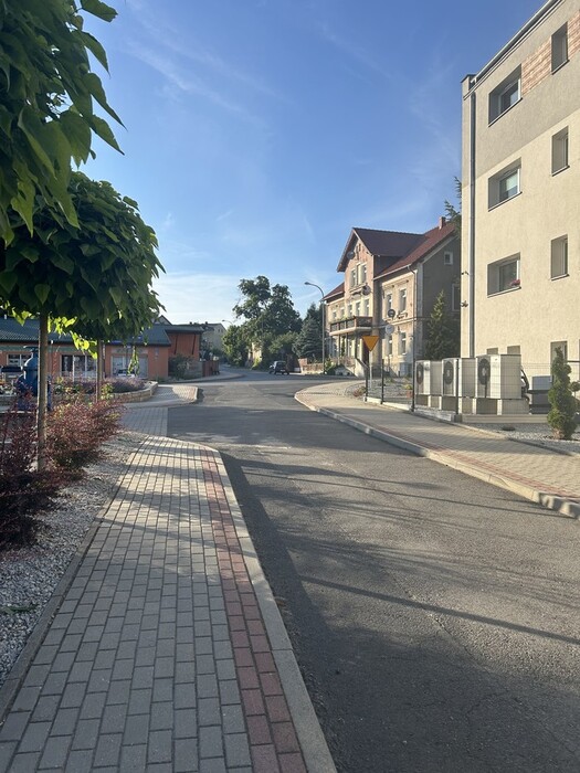 智車一 李同學 波蘭敏能圖片